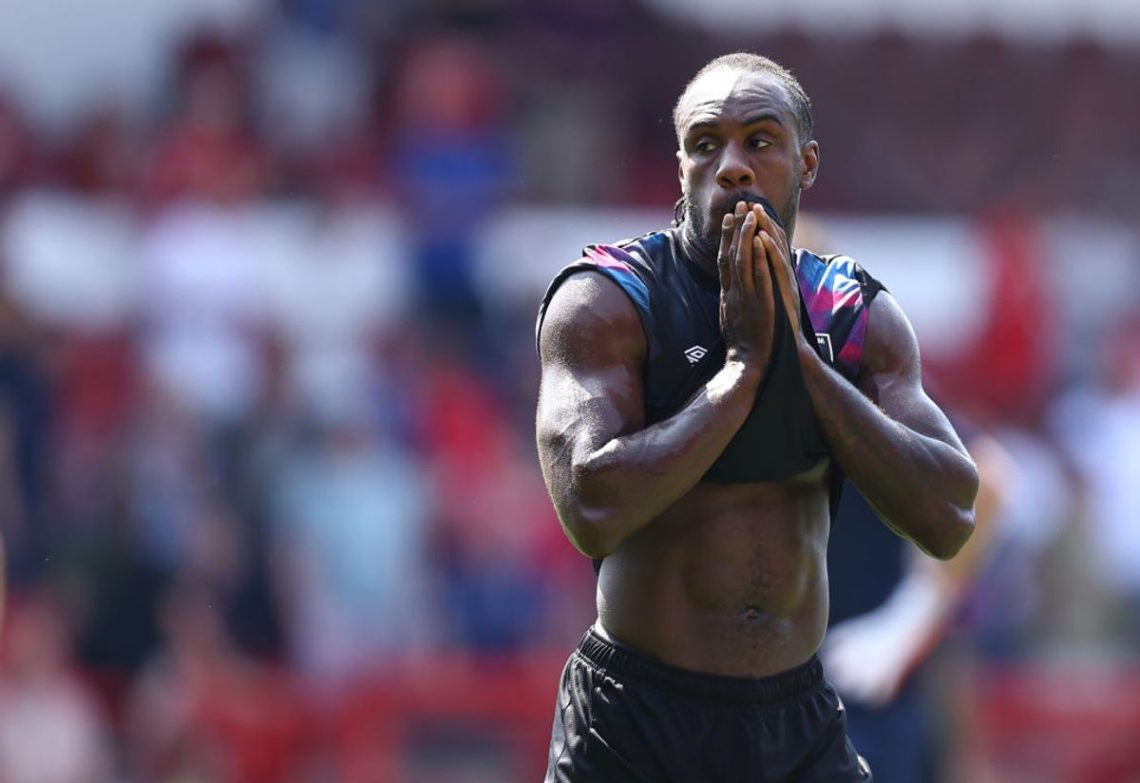 Pundit shares Antonio verdict after new West Ham talks - 'Great signing'